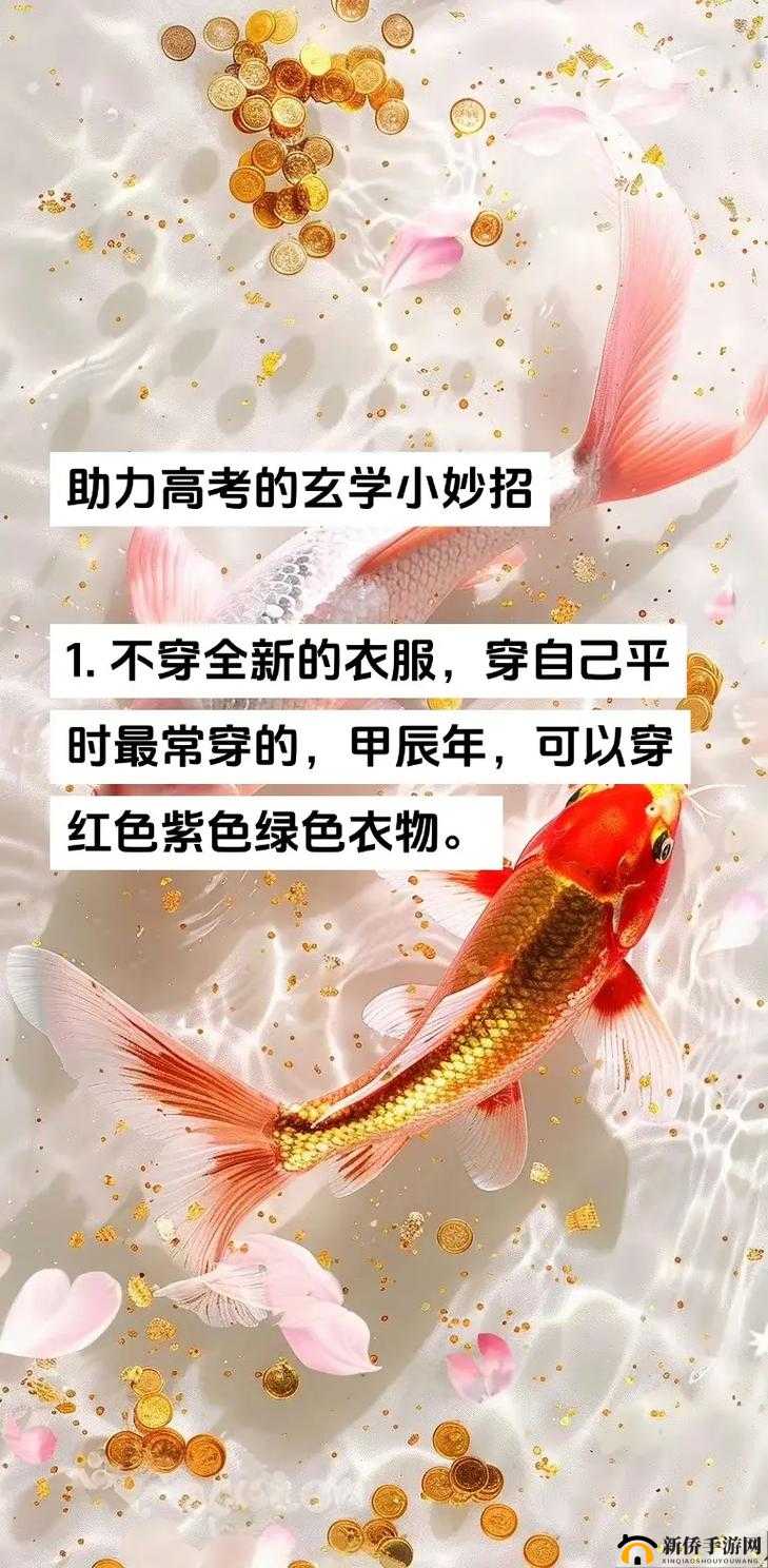 锦鲤好运来高分怎样达到,详细的操作手法讲解