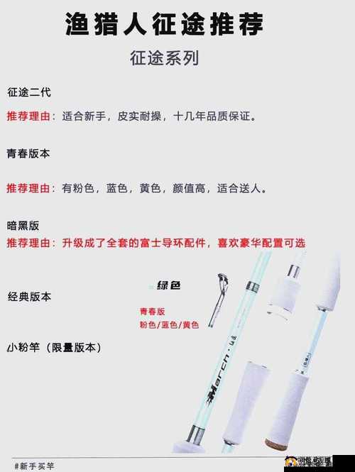 丰年经继拇中文 2:关于其重要意义与价值的深入探讨
