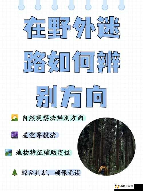 以太久永久回家地址 tai99.cc-保存永不迷路:踏上回家之路,永不迷失方向