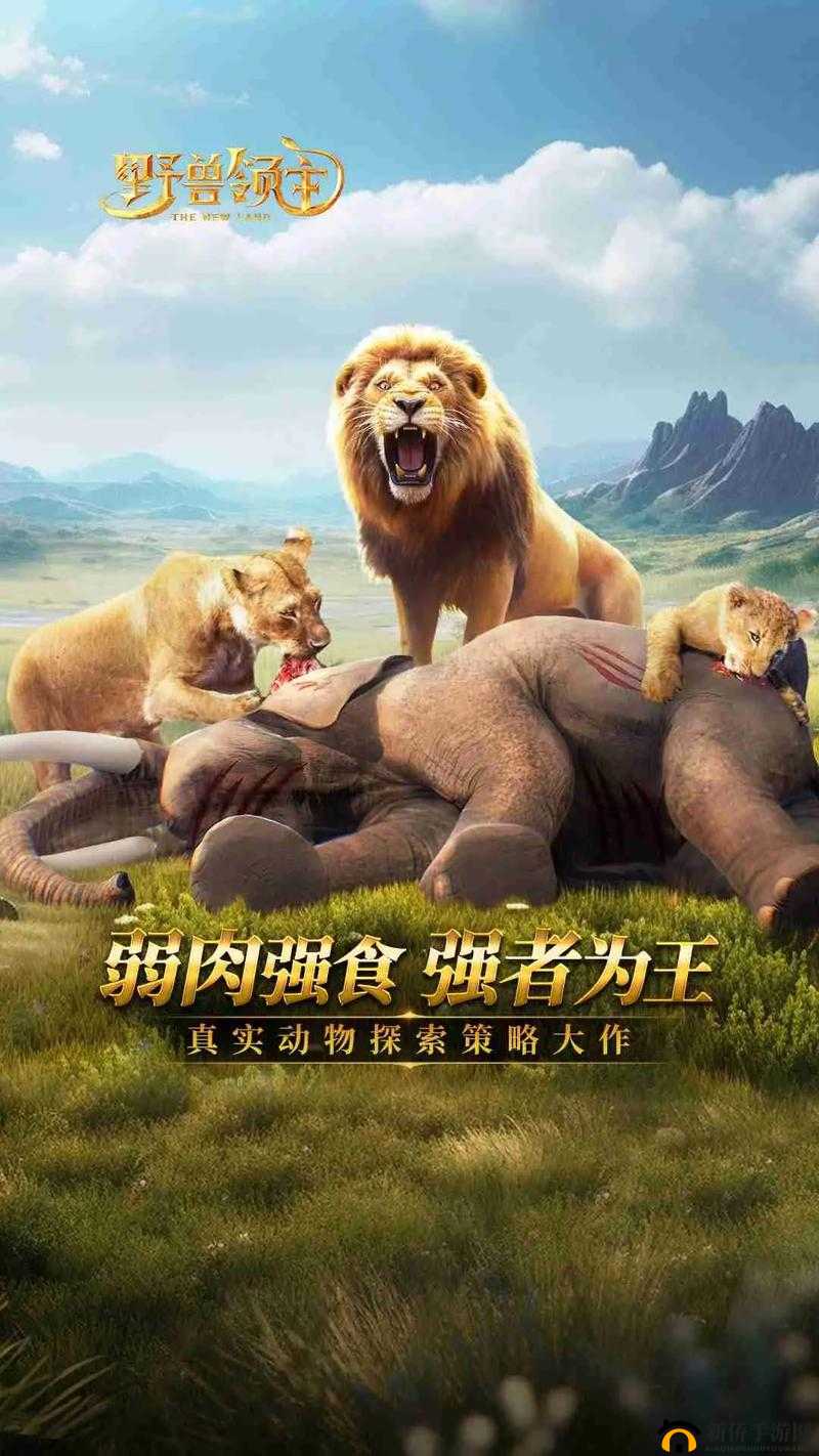 南亚战象，战场上的猛兽，彰显古代军事策略与智慧之选