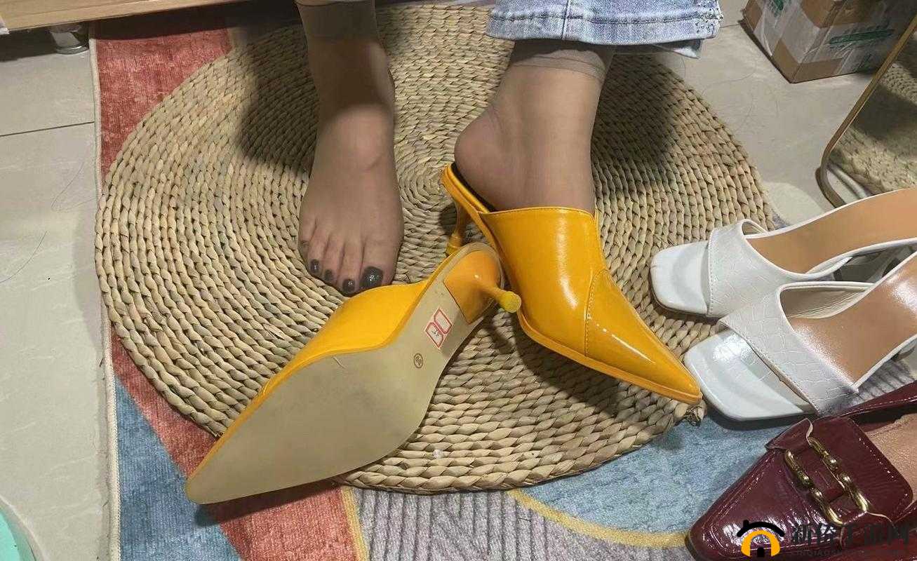 肉丝脚取精打脚枪精彩视频震撼来袭