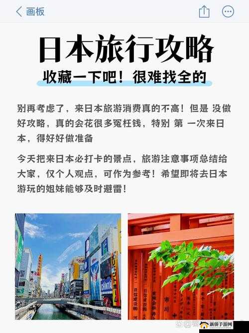 日本千乐网:探索其独特魅力与精彩内容