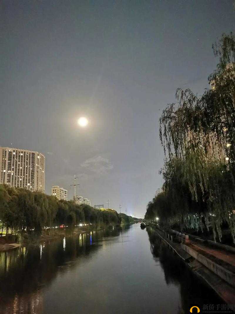 一夜夜天天拍记录生活中的每一个美好瞬间
