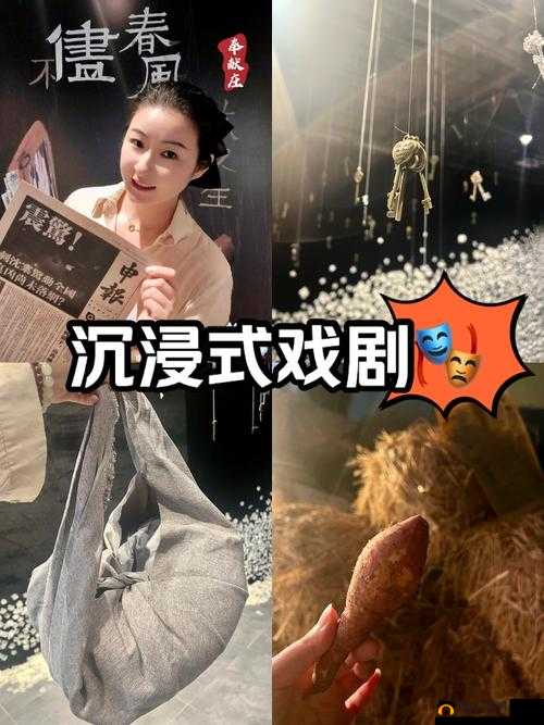 GOGOGO 中国剧情介绍与评价大牛：深度剖析剧情与精彩解读