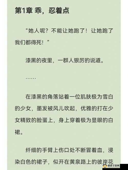三只狼兄的宠妻宋钦：爱与守护交织的传奇人生