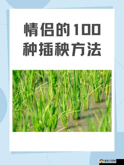 24 种男女插秧法：独特农耕技艺的魅力展现