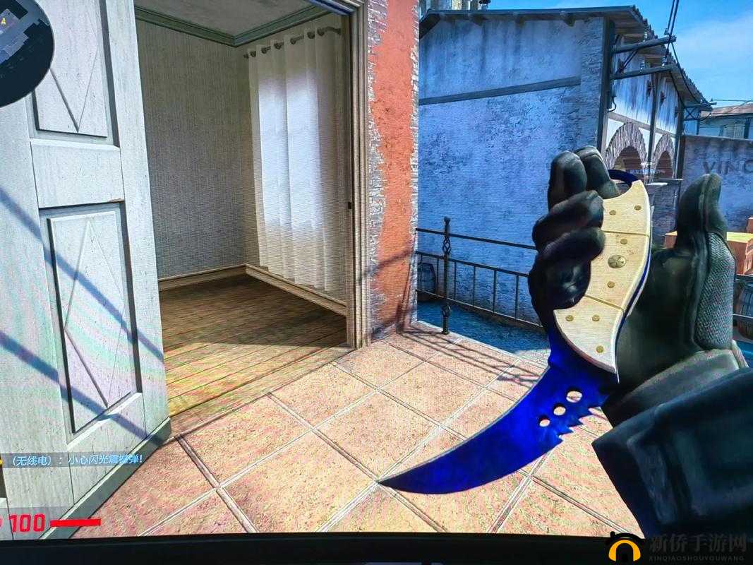 单亲妈妈在 CSGO 世界中的别样风采与挑战