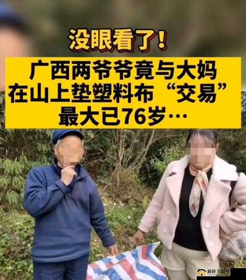 70岁老人森林交易10元一次背后的故事与真相