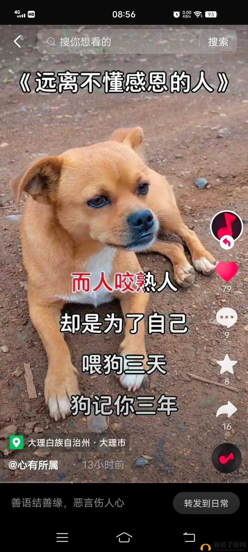 YP163COC 永不失联免费-让你随时随地保持联系的神奇存在