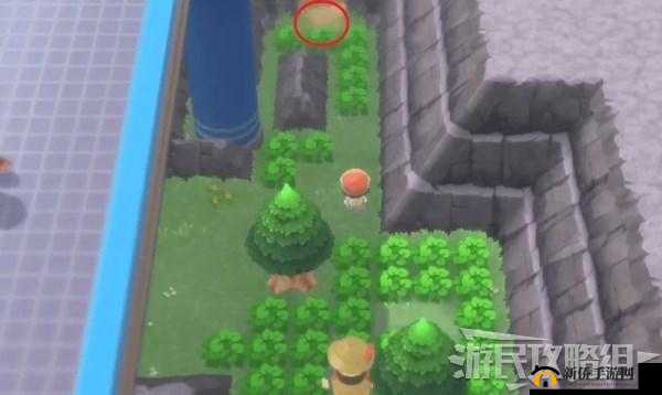 宝可梦晶灿钻石明亮珍珠,探索绿色石像的奥秘