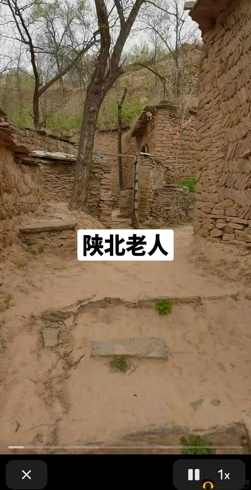 山西窑洞老阿姨:平凡生活中的坚守与温暖岁月