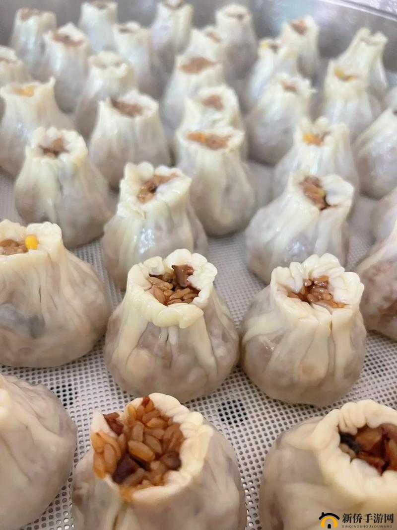 小烧卖几天没弄竟积累了如此多食材