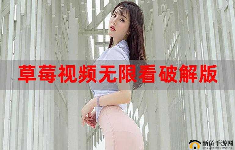 可无限看风险短视频软件:畅享无尽精彩视频资源