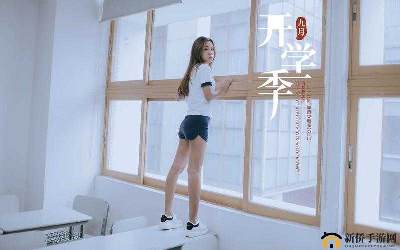 小花猫app 1234:关于小花猫app 1234 的详细介绍与探讨