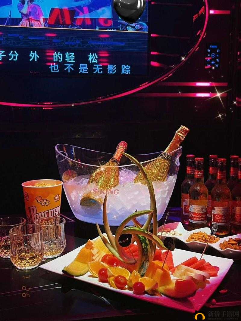 霸道少爷的俬密夜生活:KTV 包房里的激情时刻