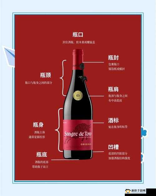 红酒瓶进出口述:探寻红酒瓶在国际间的流通奥秘