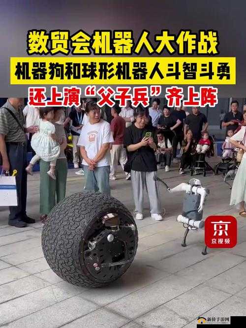 父子两人齐上阵:携手共克艰难险阻勇创未来