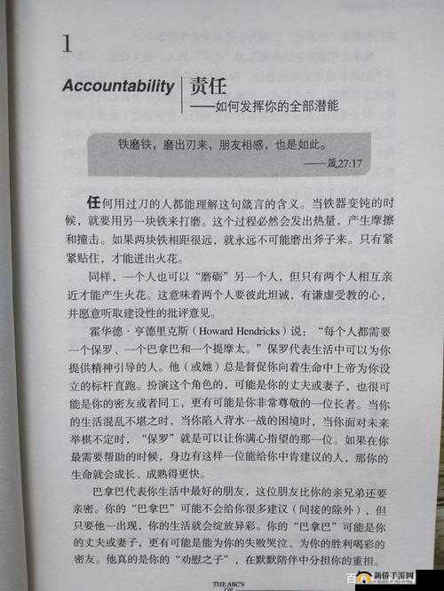 王的崛起,策略与智慧的交响乐章