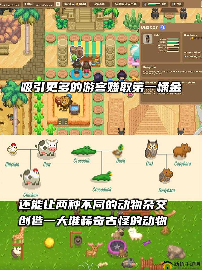 来建一家动物园,游戏特色经营玩法详细介绍一览