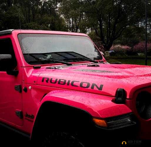 桃红色 Jeep 界人口:独特、小众、追求个性