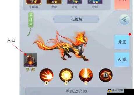 永恒修仙,仙兽玩法深度解析与干货知识教学