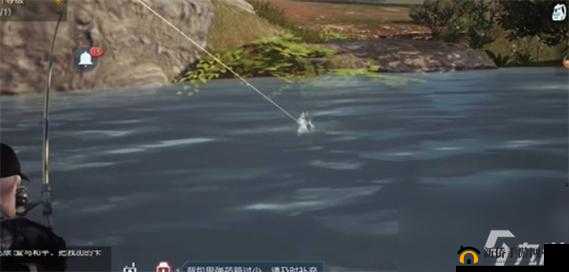 垂钓之乐,在黎明觉醒中提升钓鱼熟练度的艺术