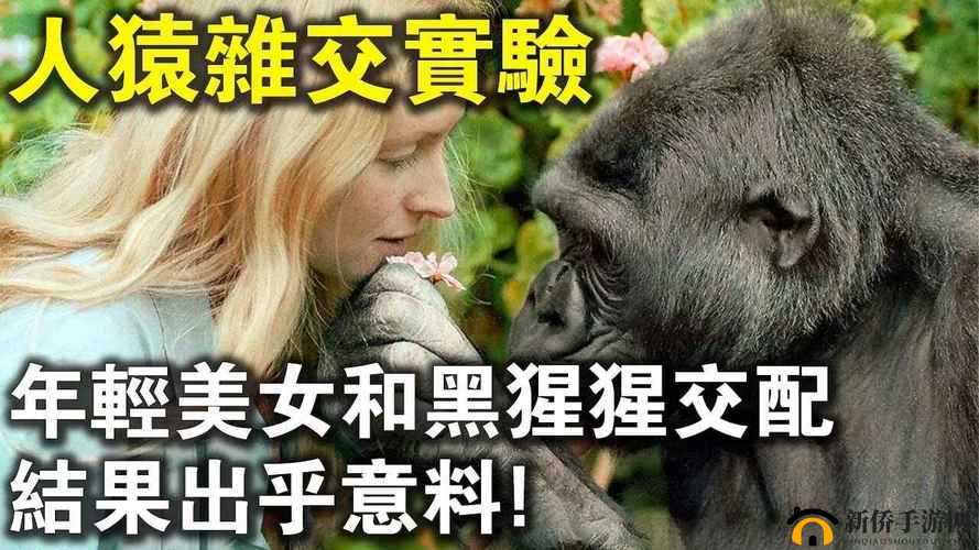 非洲美女与动物交合:揭秘神秘的非洲文化与自然奇观