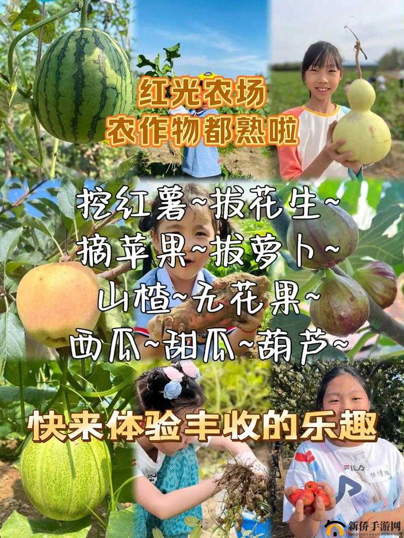 女孩子怎么体验拔萝卜的感觉:探索其中的奇妙与乐趣