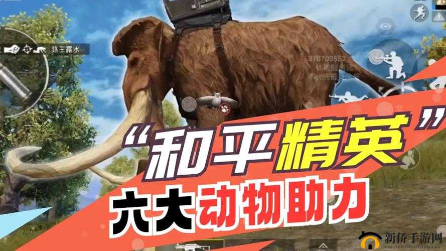 动物迷你吃鸡世界,策略与爱心并重,拯救更多萌宠