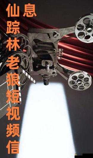 仙踪林老狼网站:探寻神秘之林的独特魅力