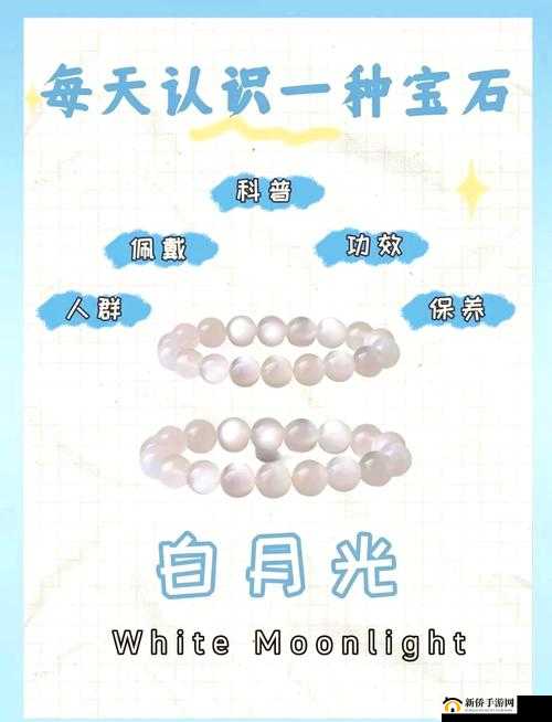 对白内麝：深入探索其奥秘与应用