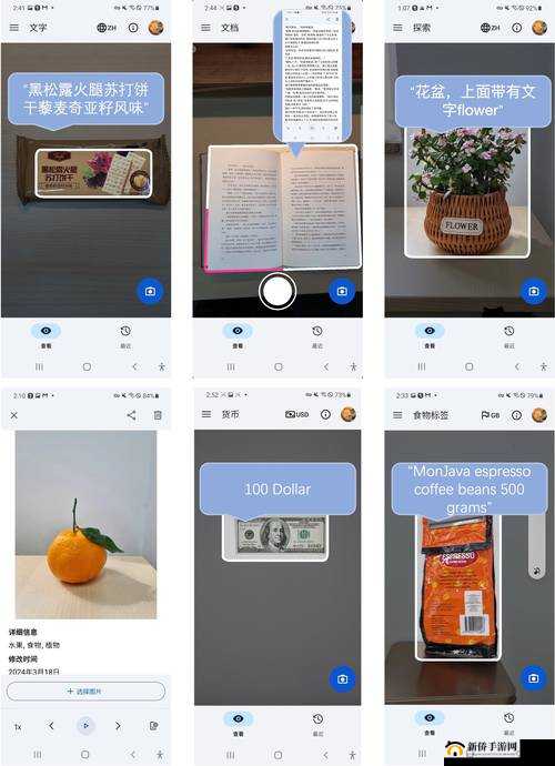 蜜桃福利入口:探索无尽的精彩世界