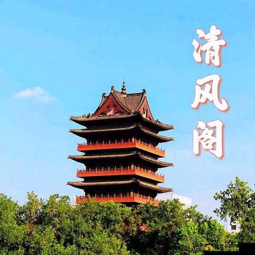 清风阁在线观看:成年人内容引发的争议
