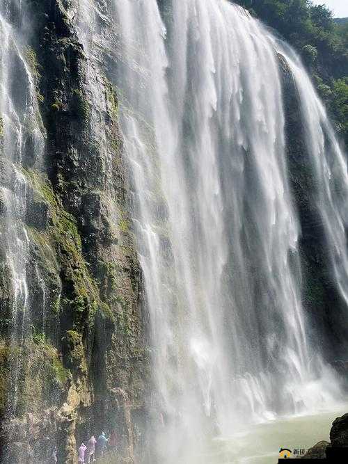 水帘白瀑如饥似渴一丛金黄:那令人陶醉的绝美之景