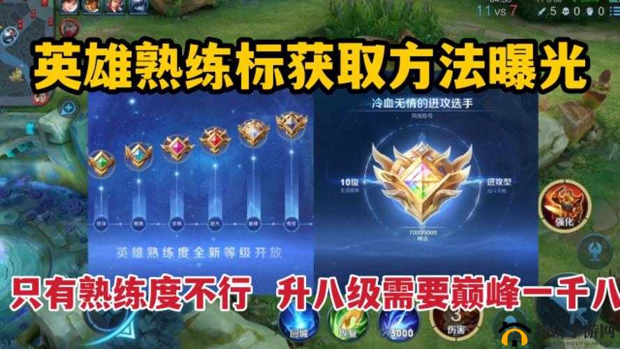 英雄联盟手游英雄熟练度提升秘籍,迅速升级小技巧