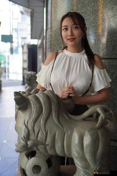人妻斩り 56 歳无码:襟忌之爱与轮理的挣扎