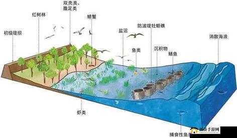 海洋大捕杀攻略,危险就在身边——资源管理的重要性与策略