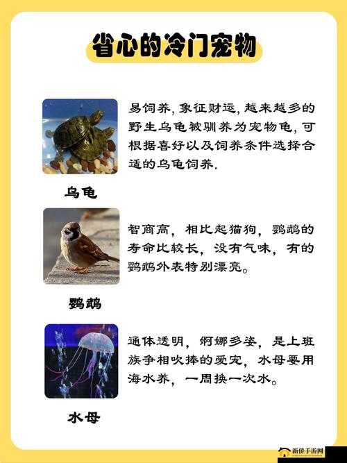 疯狂原始人2孔雀鸡表现如何?孔雀鸡技能一览