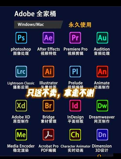 软件免费下载 3.0.3vivo 装扮大全：满足你的个性装扮需求