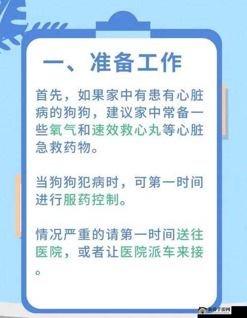 我的城市宠物医院快速应对处理宠物的急救电话的重要性