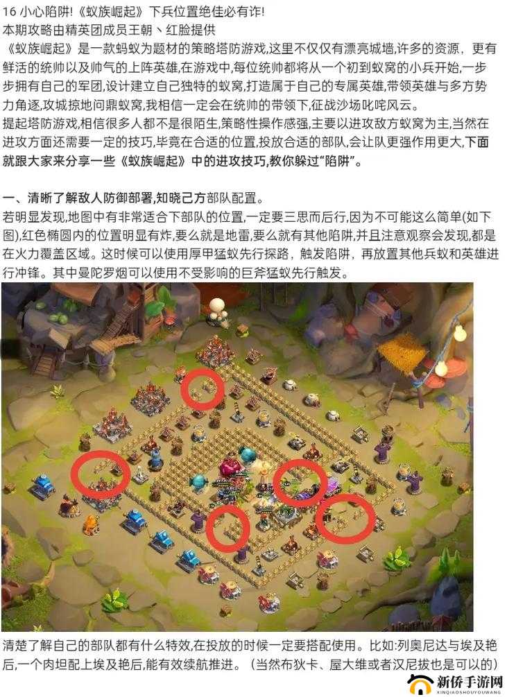 蚁族崛起，在微观世界中构筑宏图的策略与智慧