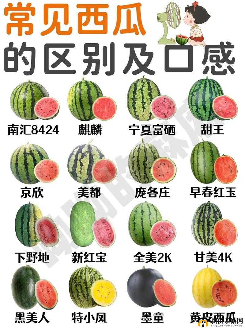合成大西瓜2048,在不断合成相同水果中需要注意的相关事项