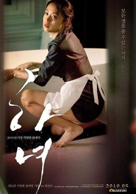 完整呈现性船轮理 DVD 的独特魅力与价值探讨