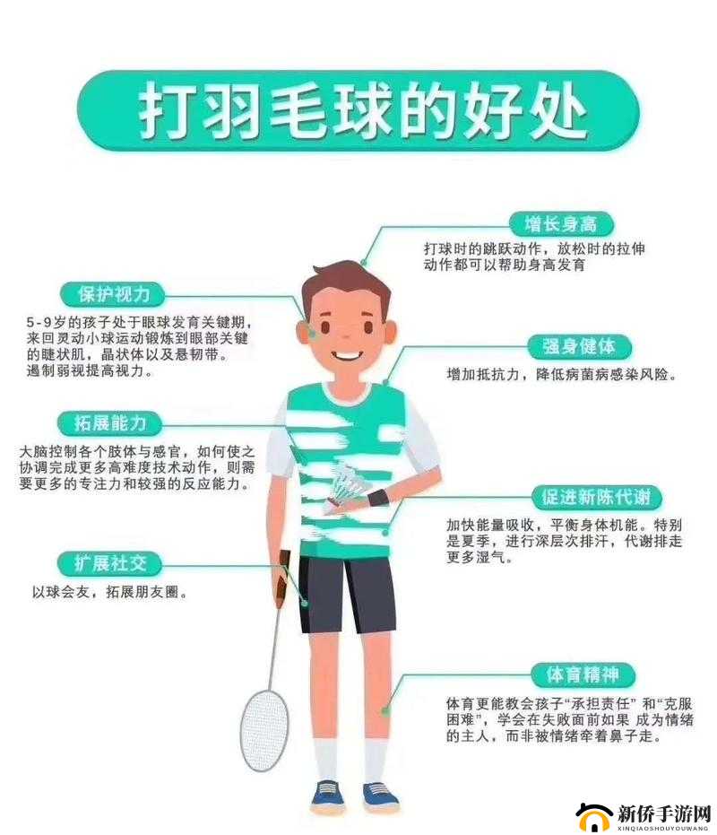 羽毛球运动的魅力与策略,以超级羽毛球联赛为例