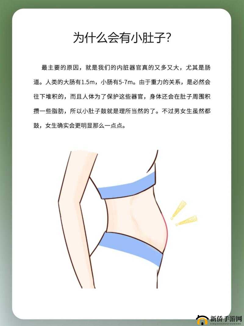 小肚子灌得鼓鼓的:探究其形成原因与健康影响