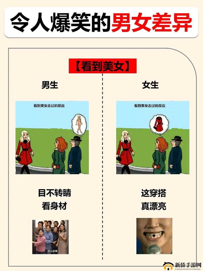 男女之间的差异:探索性别差异带来的挑战与机遇
