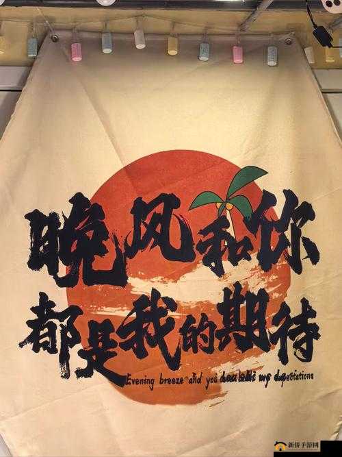 深夜网站你会回来感谢我的:一个让你惊喜的神奇地方