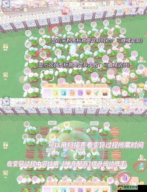 摩尔庄园种田发家致富方法攻略