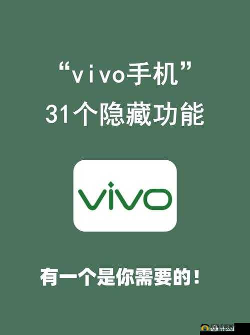 下载 3.0.3 每天无限免费 vivo :让您畅享便捷服务体验