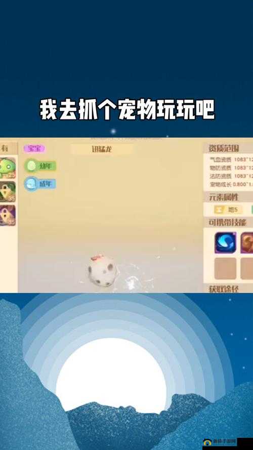 梦想新大陆获取宠物途径攻略
